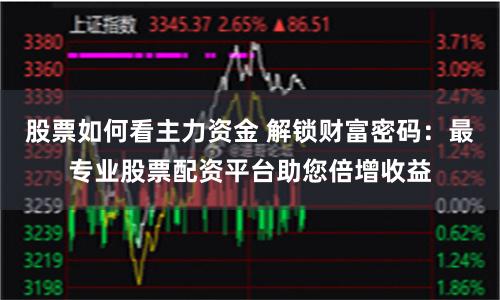 股票如何看主力资金 解锁财富密码：最专业股票配资平台助您倍增收益