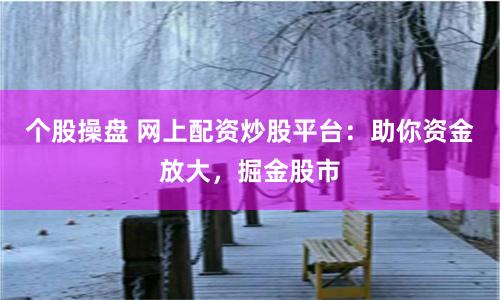 个股操盘 网上配资炒股平台：助你资金放大，掘金股市